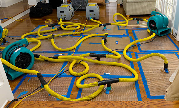 Professional Water Damage Restoration technician working in Humble, TX